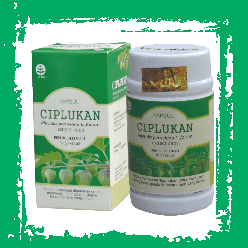 herbal kapsul ekstrak daun ciplukan